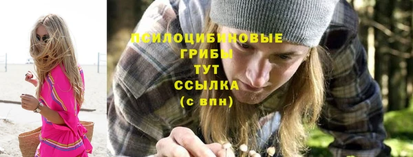 индика Абинск