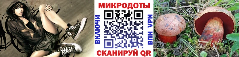 Псилоцибиновые грибы мицелий Аксай