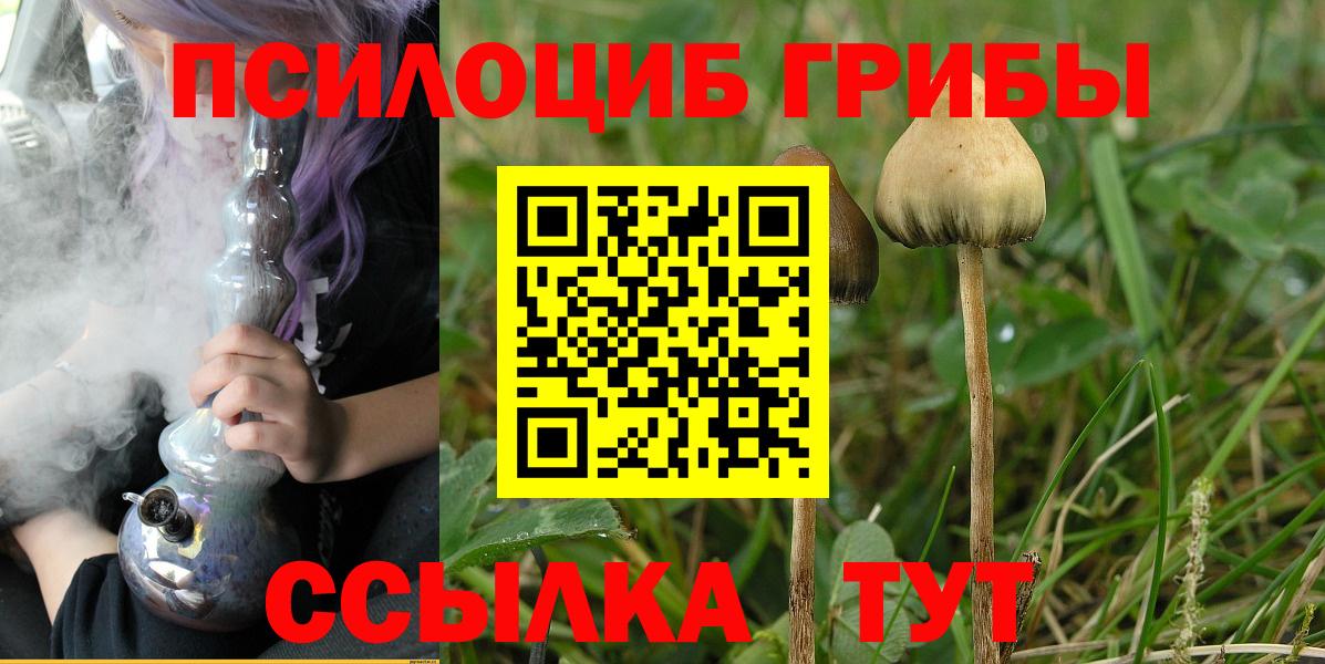 Псилоцибиновые грибы прущие грибы Аксай