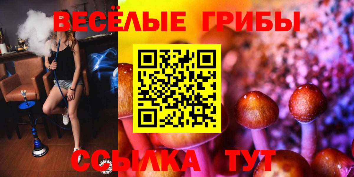 Аксай  Галлюциногенные грибы мухоморы  Вход с VPN 